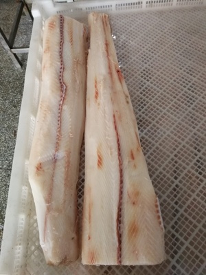 水鲨鱼柳blue shark loin/fillet